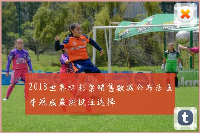 2018世界杯彩票销售数据公布法国夺冠成最热投注选择