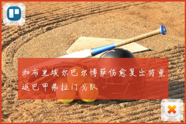 加布里埃尔巴尔博萨伤愈复出将重返巴甲弗拉门戈队