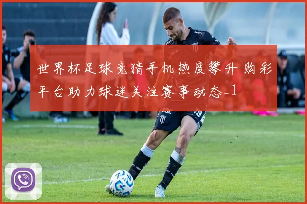 世界杯足球竞猜手机热度攀升 购彩平台助力球迷关注赛事动态_1