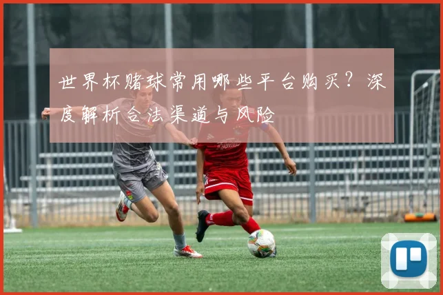 世界杯赌球常用哪些平台购买？深度解析合法渠道与风险