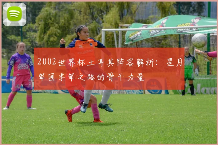 2002世界杯土耳其阵容解析:星月军团季军之路的骨干力量